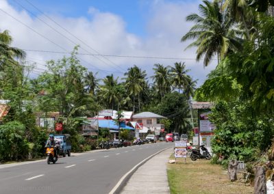 Straße mit Palmen