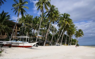 Philippinen Inselhopping – Insel Bohol