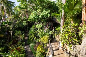 Tropischer Garten